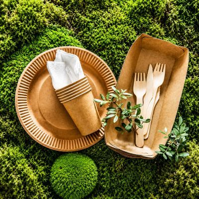 Biocompatible & Biodegradable Materials
