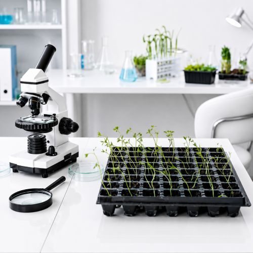 Seed Moisture Analyzers